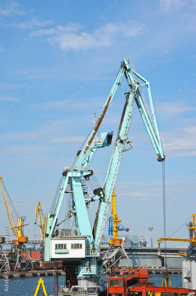 Floating cargo crane