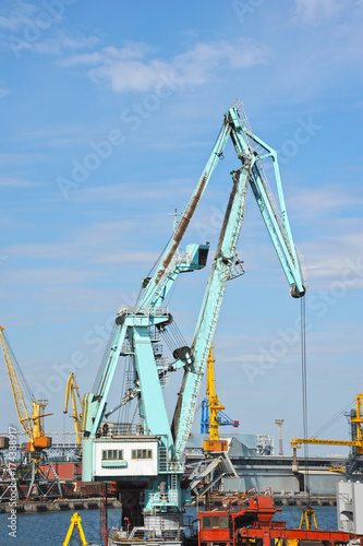 Floating cargo crane