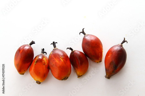 Palm Oil background / Palm oil is a type of edible vegetable oil that is derived from the palm fruit