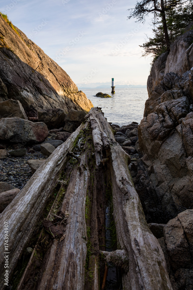 Landscape view on the logs laying on the rocky shore between the cliffs. Picture taken in Whytecliff Park, West Vancouver, British Columbia, Canada, on a beautiful sunny day.