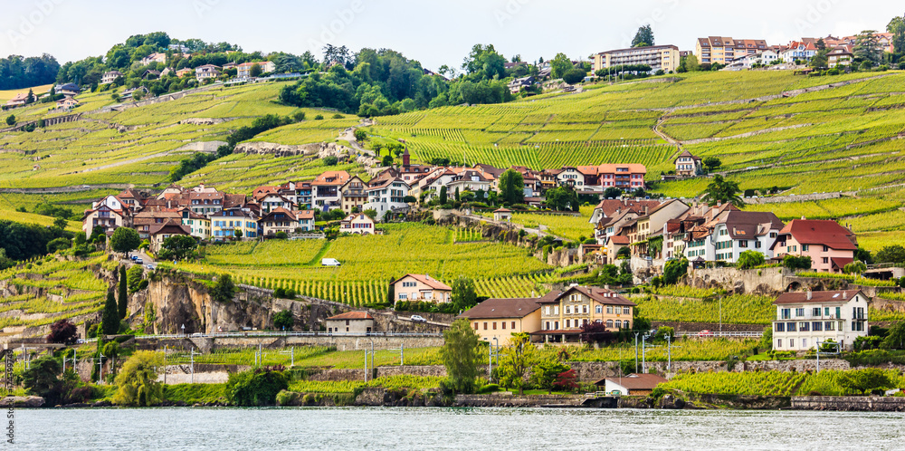 Beautiful Summer landscape of Lake Geneva, Lavaux vineyard terraces and Alps, Swiss Riviera, Switzerland, Europe.