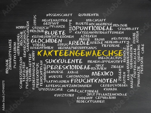 Kakteengewächse photo