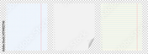 Set of three notebooks with holes from springs on a transparent background in a box, vector.