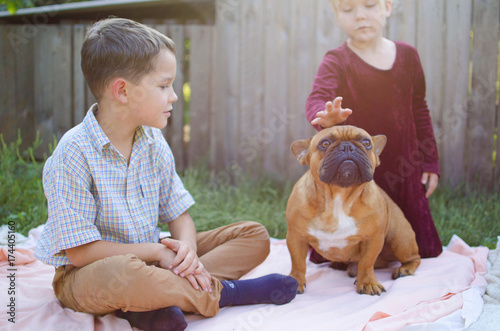 Happy kids playing with puppies in sunny day. Cute boy and girl with cheerful french bulldog pets.