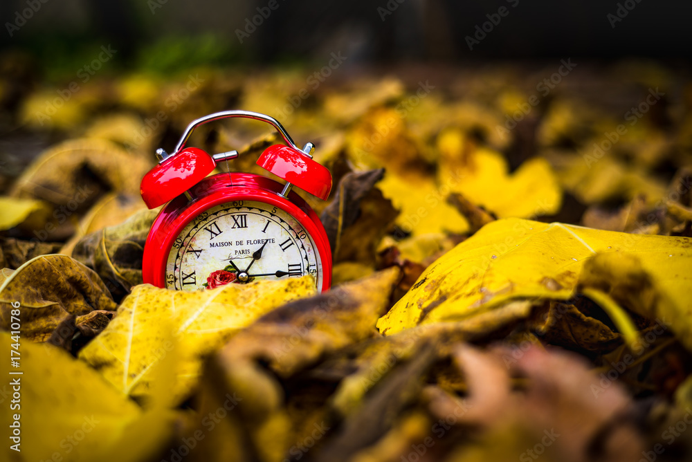 Red vintage clock in yellow autumn leaves