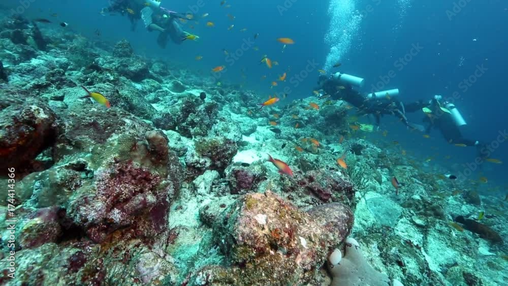 Scuba diving group exploring coral reef at Pulau Weh, Aceh Scuba diving group exploring coral reef at Pulau Weh, Aceh