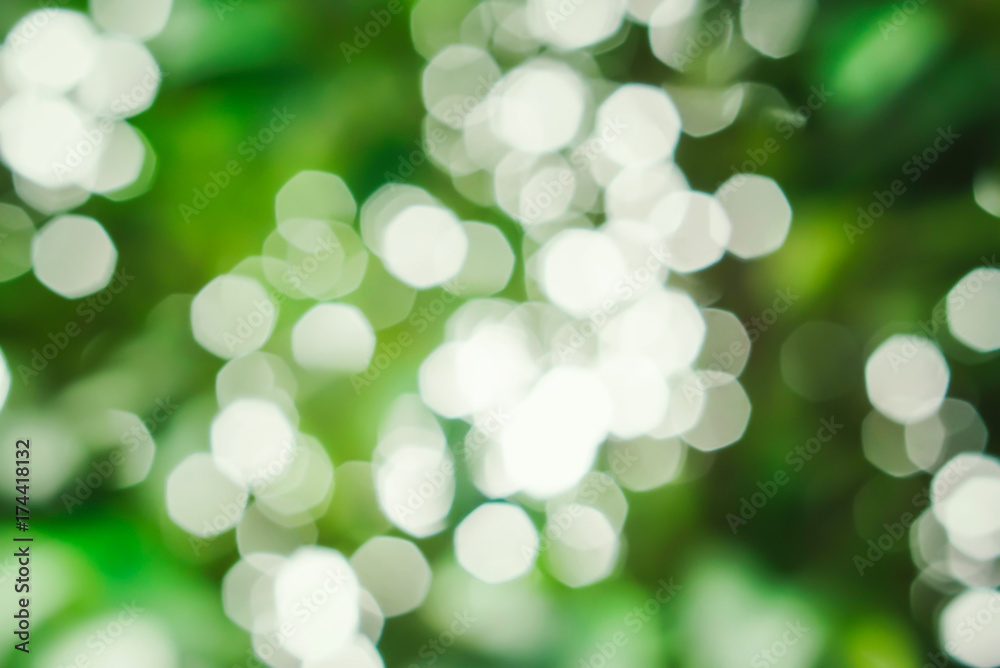 Obraz premium green light bokeh background