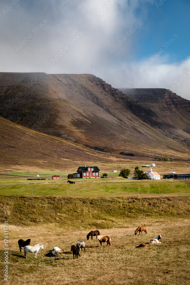 Scenic view of icelandic horses on a pasture in front of typical small farm surrounded by dramatic icelandic landscape.