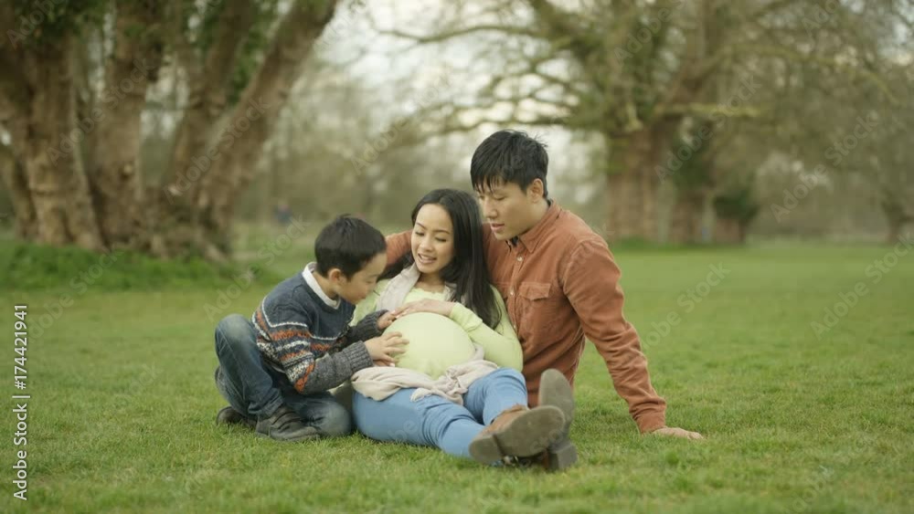 Happy family relaxing in the park parents expecting baby with cute little boy Happy family relaxing in the park parents expecting baby with cute little boy