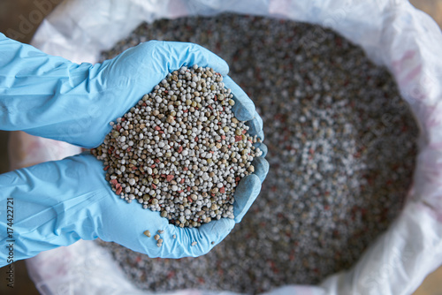 Chemical Fertilizer or Organic Fertilizer