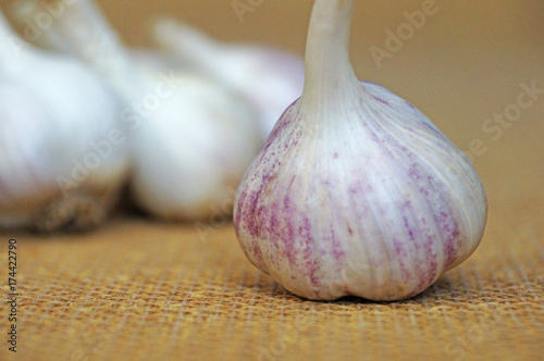 Garlic is ready to eat. Garlic is isolated on the background of the bag.