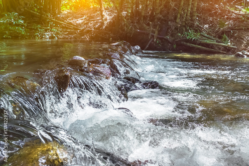 Waterfall river flow from forest landscape. Serenity nature background.