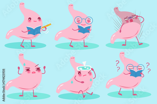 cute cartoon stomach