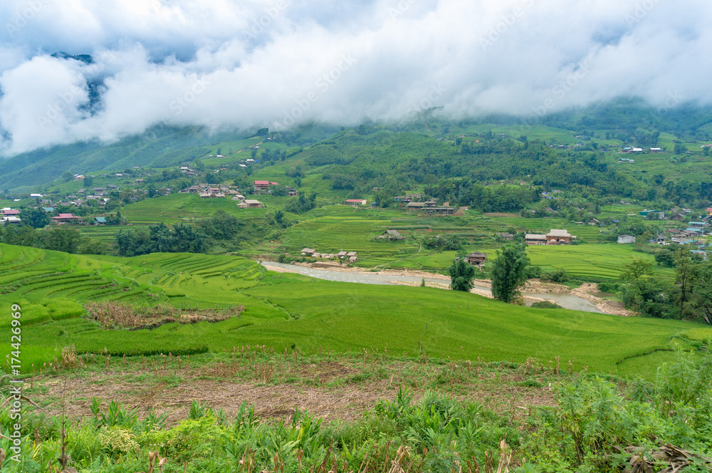Countryside, rural landscape with rice paddy and village