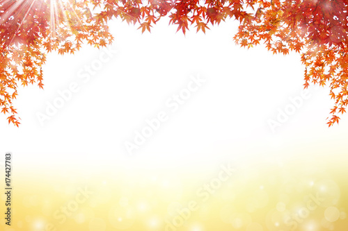 秋のイメージ:紅葉
