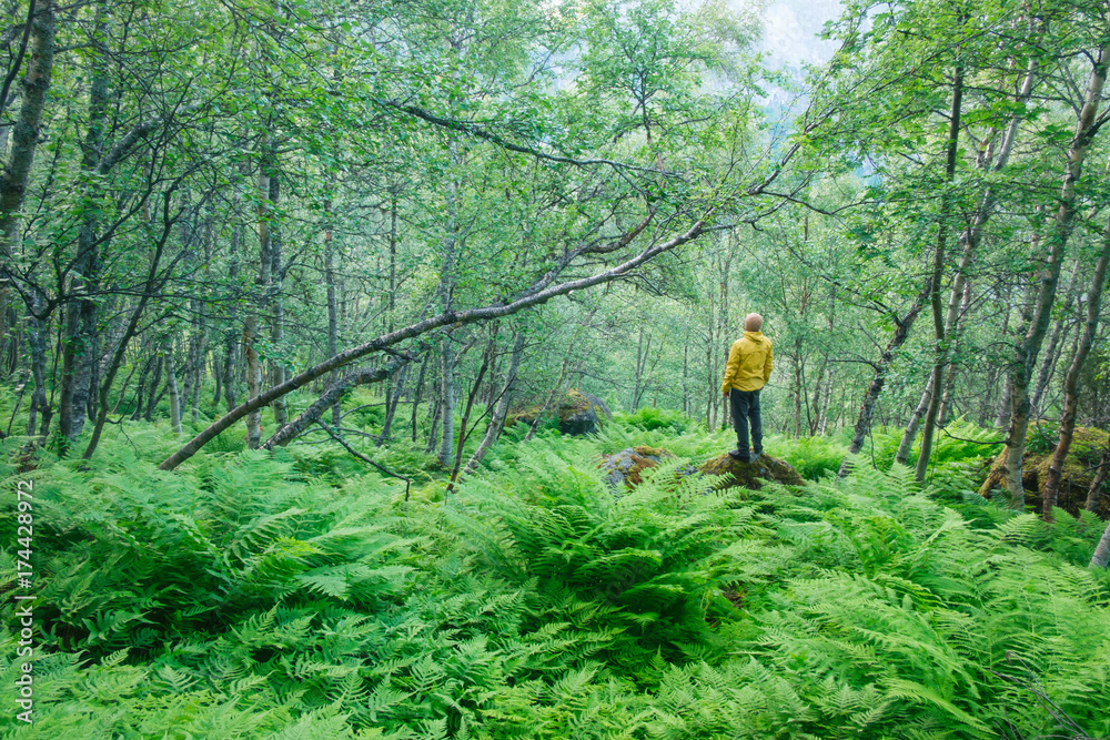 Fototapeta premium Alone tourist in lush norvegian forest