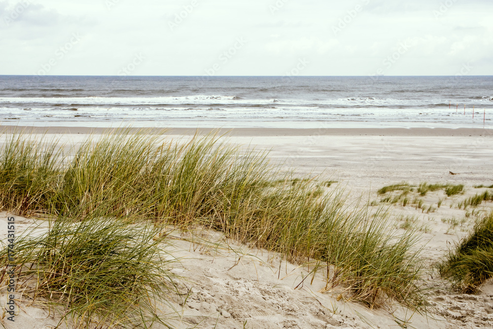 Nordsee, Strand auf Langenoog: Ruhe am Meer, Dünen, Natur, Entspannung, Erholung, Ferien, Urlaub, Meditation :)