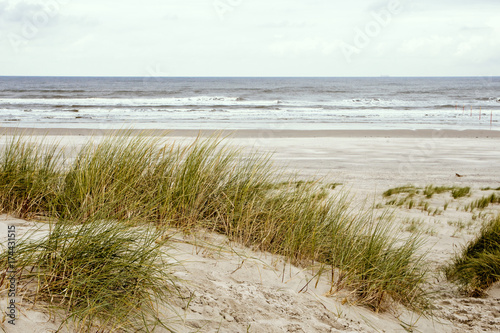Nordsee, Strand auf Langenoog: Ruhe am Meer, Dünen, Natur, Entspannung, Erholung, Ferien, Urlaub, Meditation :)