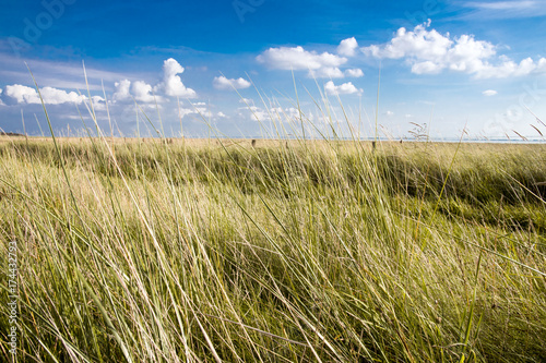 Nordsee, Strand auf Langenoog: Dünen, Meer, Entspannung, Ruhe, Erholung, Ferien, Urlaub, Meditation :)