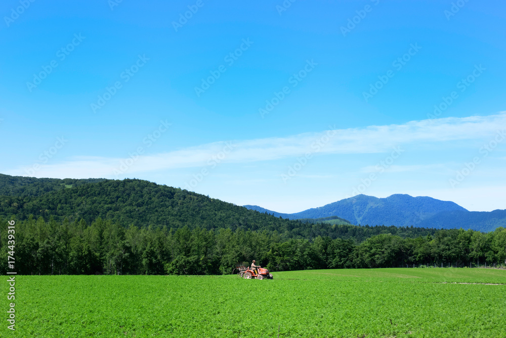 北海道の風景　南富良野