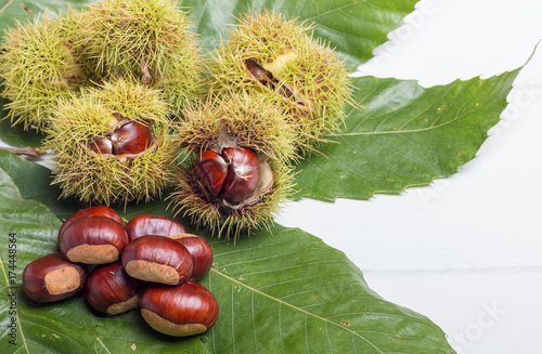 chestnuts with bolster and leaf