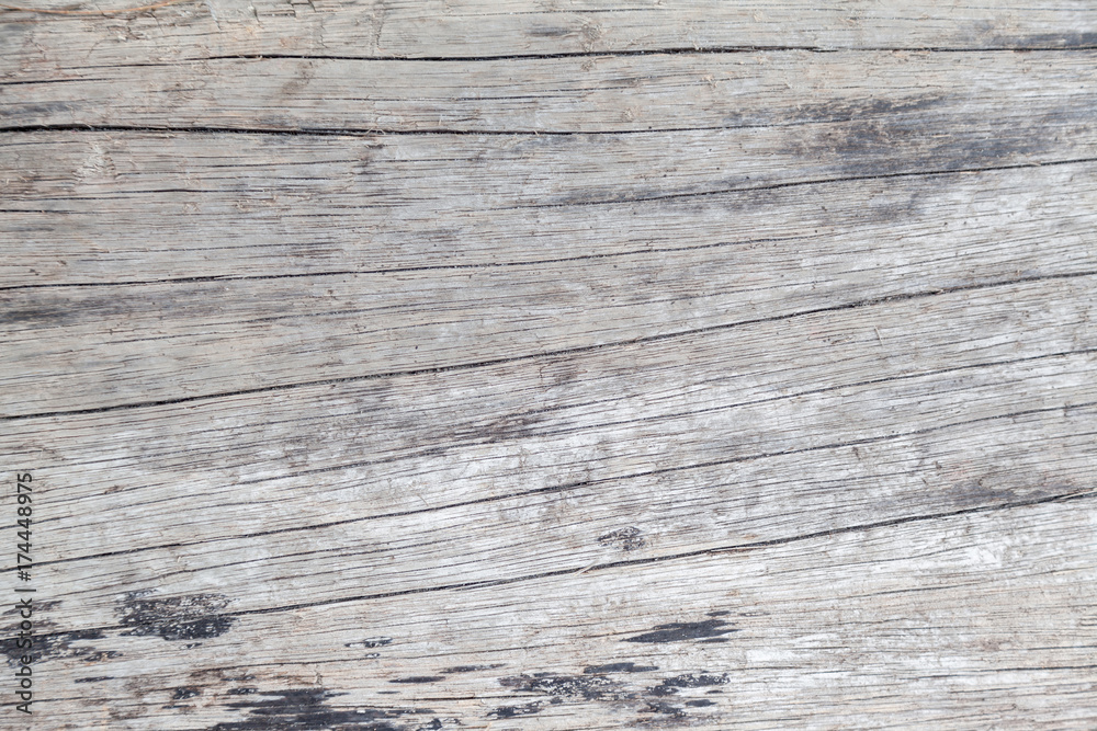 Black and white wood texture