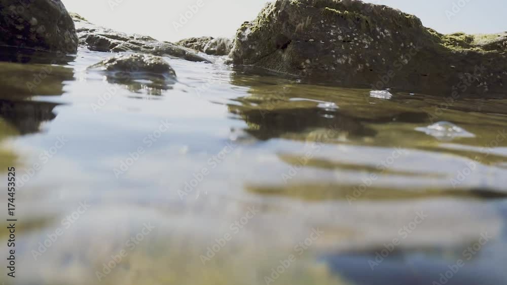 Slow motion view over water on rocks in seaweed calm motion of water Slow motion view over water on rocks in seaweed calm motion of water