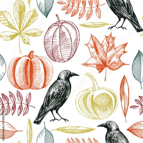 Halloween pattern with crow, pumpkins and leaves.