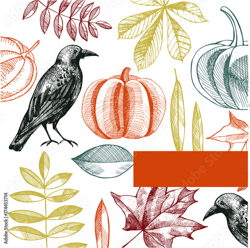 Halloween background  with crow