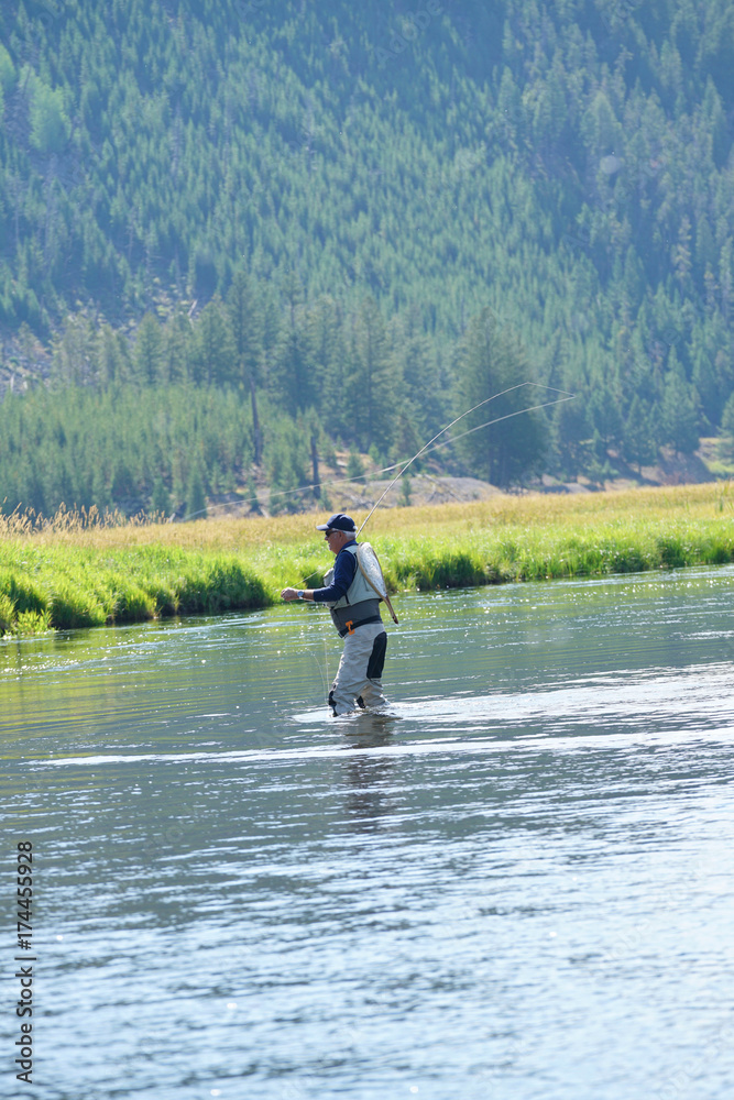 Fly-fisherman fishing in Madison river, Yellowstone Park