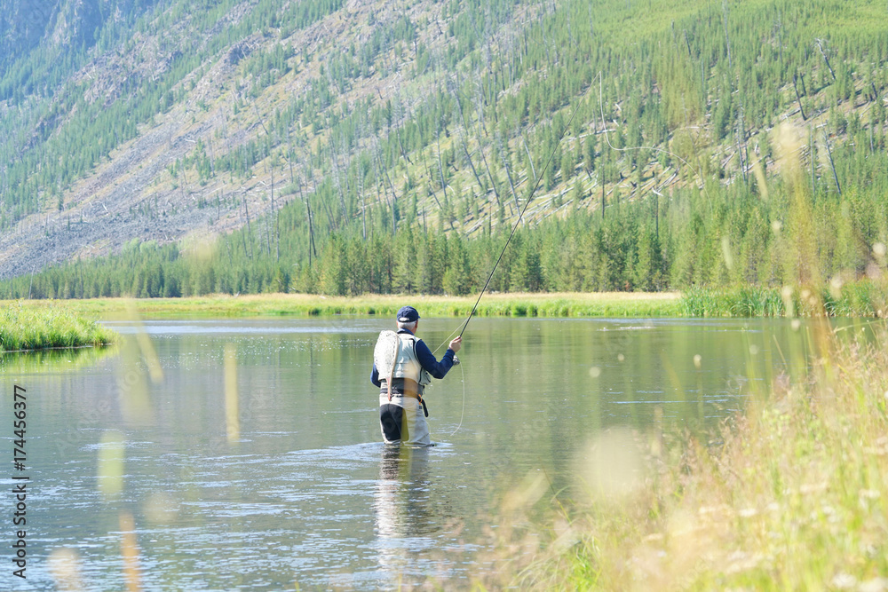 Fly-fisherman fishing in Madison river, Yellowstone Park