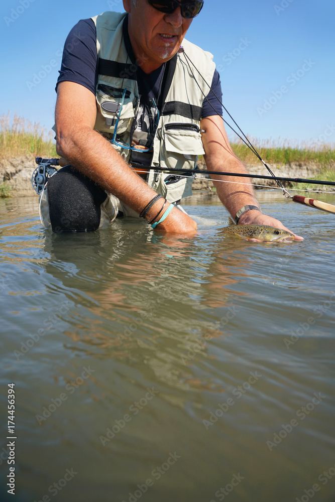 Fly fisherman holding brown trout in river Fly fisherman holding brown trout in river