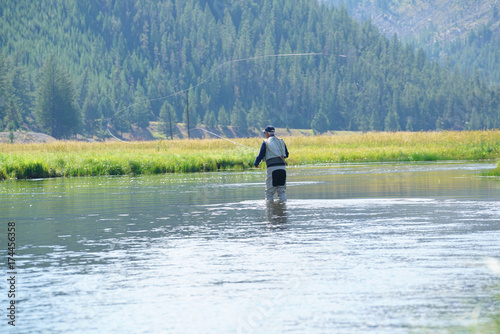 Fly-fisherman fishing in Madison river, Yellowstone Park