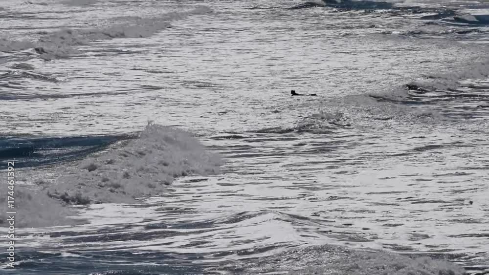 Surfers in Atlantic Ocean. Surfers in Atlantic Ocean.