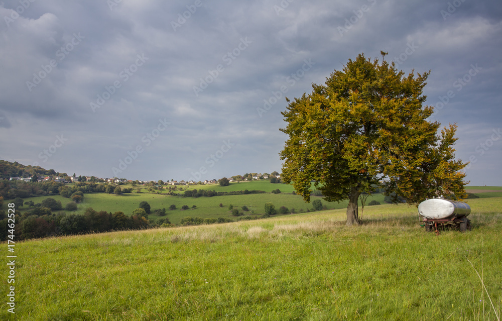 Fototapeta premium Countryside pasture and Agriculture Landscape Germany