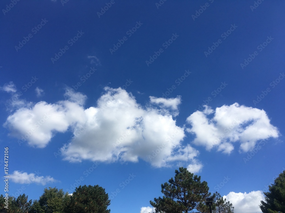 beautiful clouds in intense blue sky in early autumn