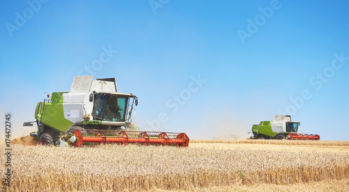 A few combines cutting a swath through the middle of a wheat field during harvest