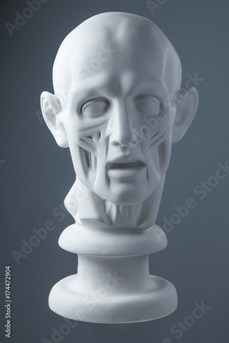 plaster statue of a human head. grey background.