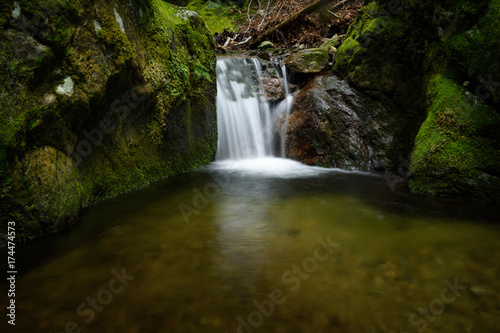 Waterfall and rocks covered with moss in the forest