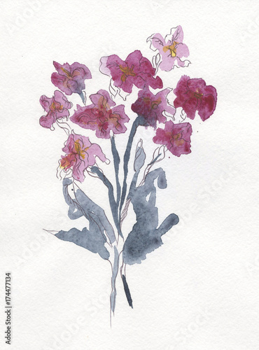 bouquet of purple irises, watercolor painting, flowers