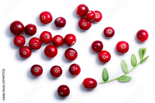Cranberries with leaves, top view, paths photo