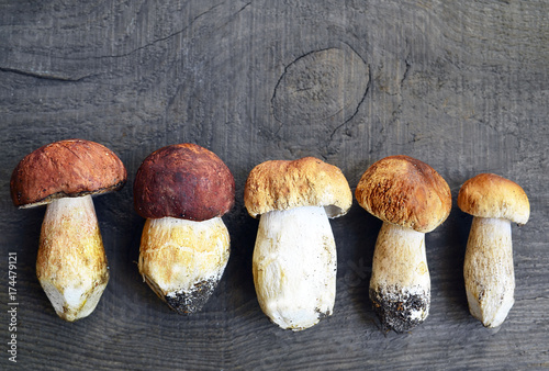 Boletus edulis mushrooms on old wooden background.Autumn Cep Mushrooms.Porcini mushrooms.White mushrooms.Selective focus.