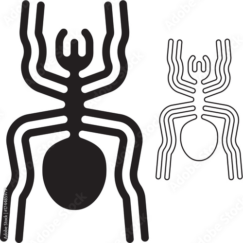 nazca lines spider photo