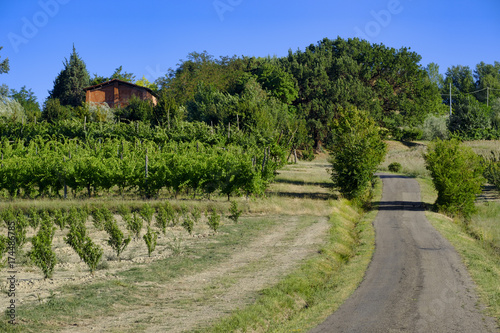 Landscape between Imola and Riolo Terme (Emilia Romagna)