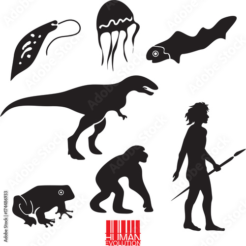 Human evolution. Animal evolution vector set.