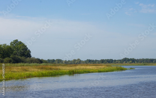 Wild nature of Belarus / Landscape of river and forest in Belarus