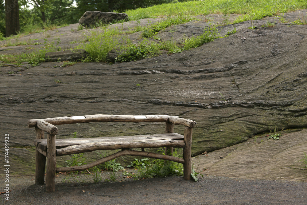 Old wooden bench in Central Park in New York City, horizontal picture Old wooden bench in Central Park in New York City, horizontal picture