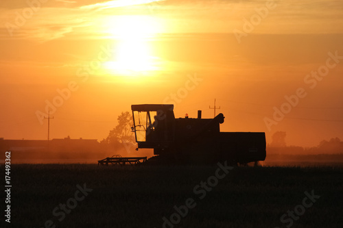 Old combine harvester working on a wheat crop at summer evening