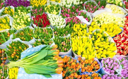 Photography Assortment of bouquets of colorful tulips in a farmers market