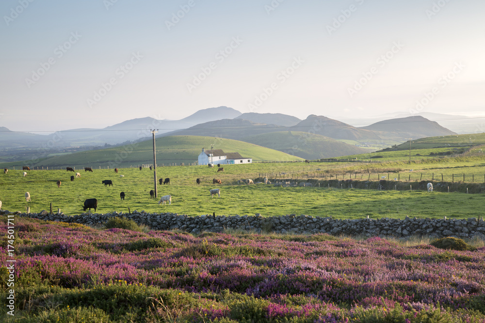Mountains near Llithfaen; Pwllheli; Llyn Peninsula; Wales